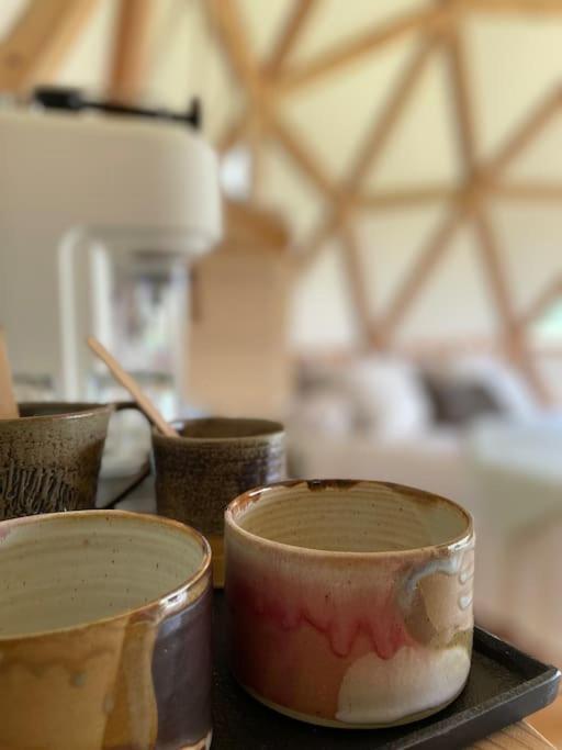 Dome Insolite Lichen Jacuzzi Et Petits-Dejeuners Inclus Gondrin Exterior foto