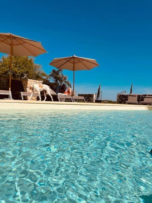 Dome Insolite Lichen Jacuzzi Et Petits-Dejeuners Inclus Gondrin Exterior foto